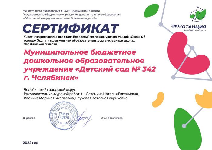 Сертификат участников конкурса Снежный городок Эколят